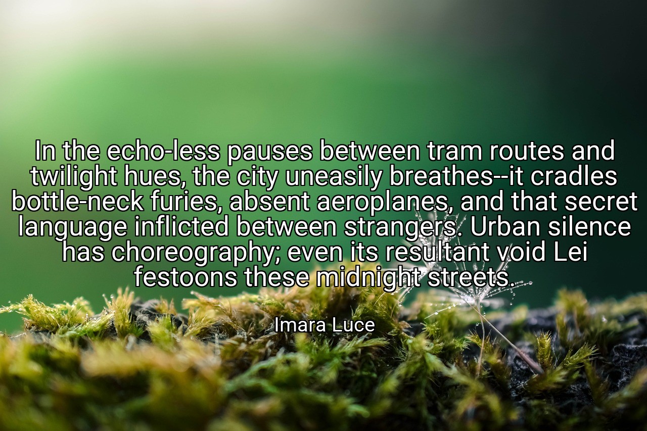 In the echo-less pauses between tram routes and twilight hues, the city uneasily breathes--it cradles bottle-neck furies, absent aeroplanes, and that secret language inflicted between strangers. Urban silence has choreography; even its resultant void Lei festoons these midnight streets. - Imara Luce