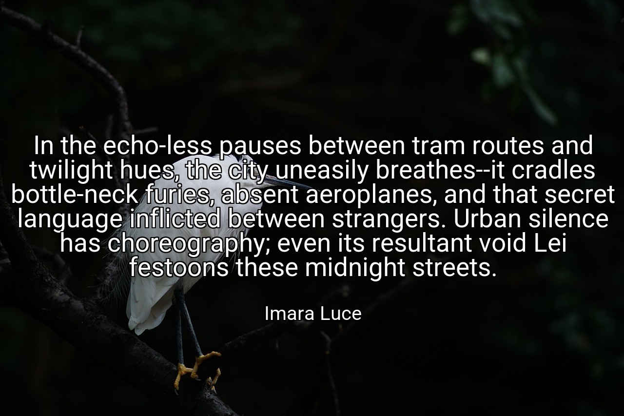 In the echo-less pauses between tram routes and twilight hues, the city uneasily breathes--it cradles bottle-neck furies, absent aeroplanes, and that secret language inflicted between strangers. Urban silence has choreography; even its resultant void Lei festoons these midnight streets. - Imara Luce