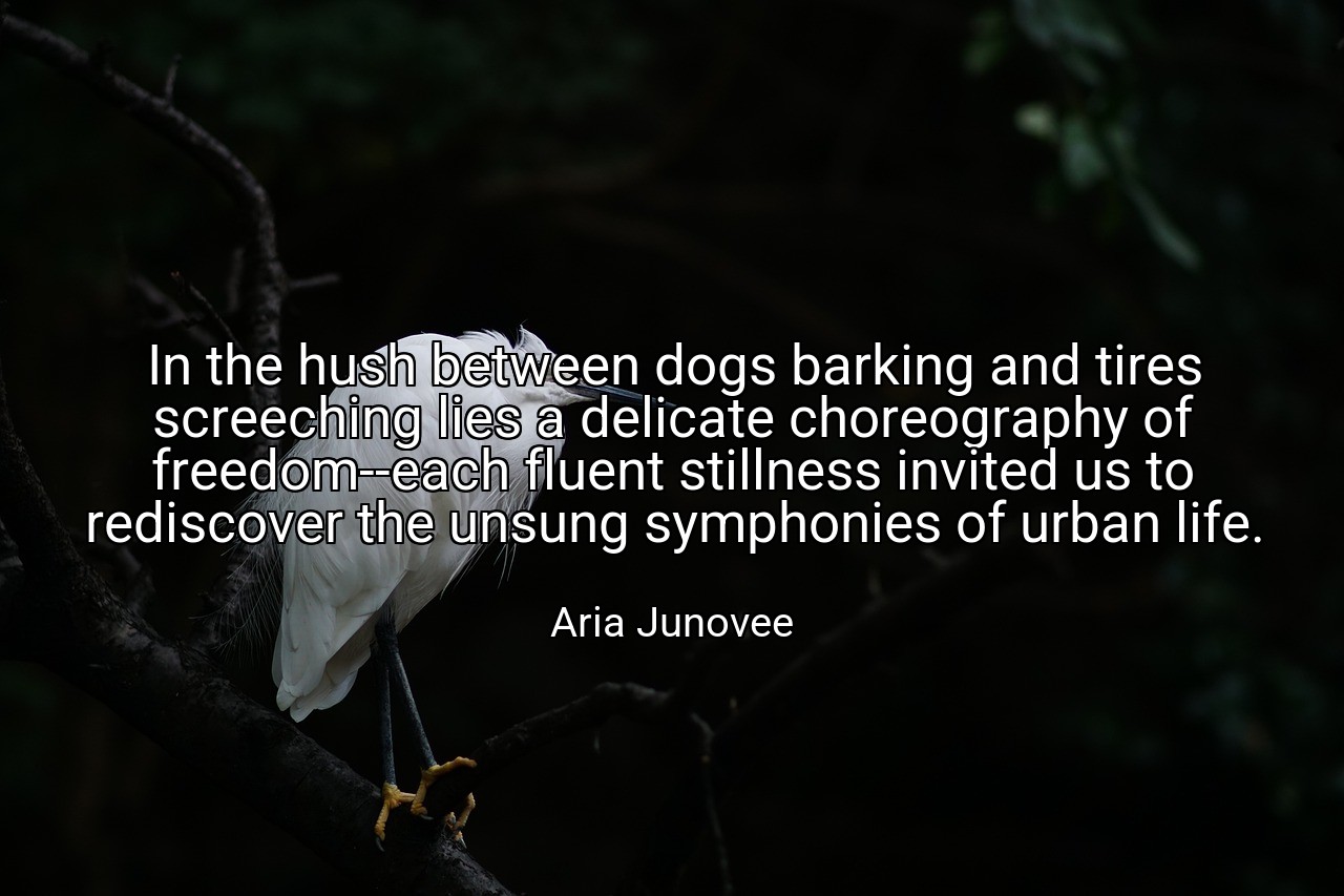 In the hush between dogs barking and tires screeching lies a delicate choreography of freedom--each fluent stillness invited us to rediscover the unsung symphonies of urban life. - Aria Junovee