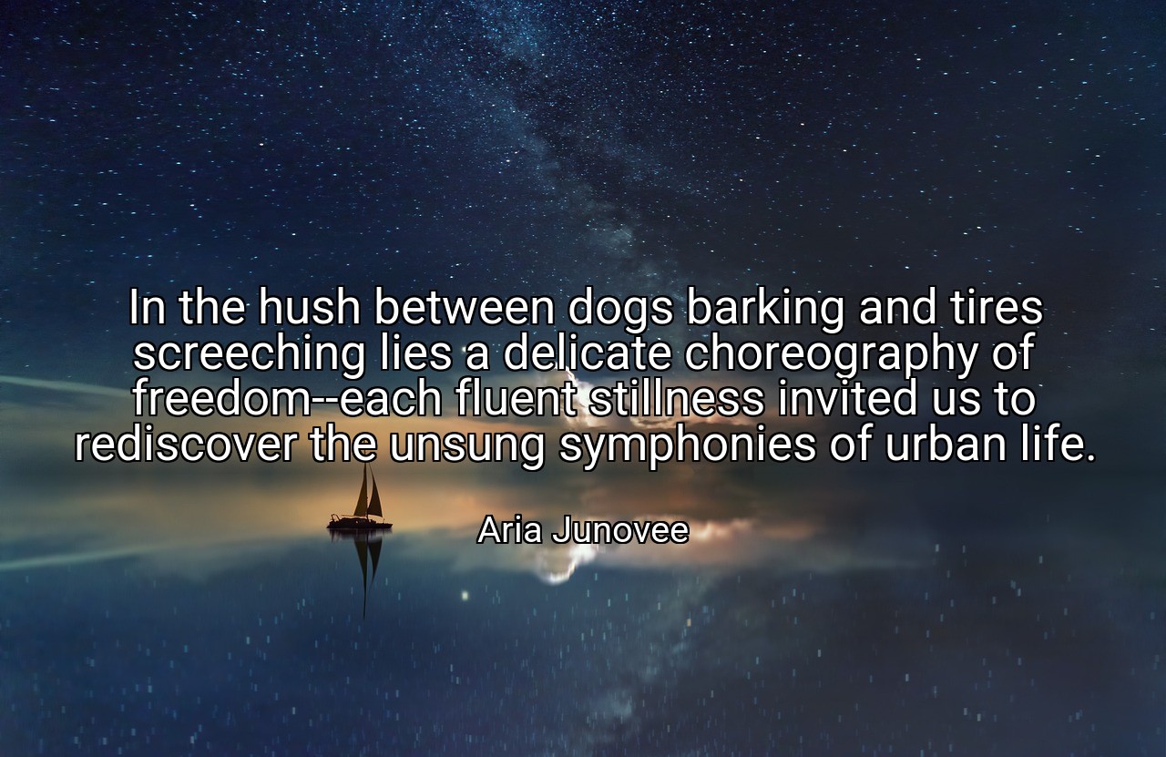 In the hush between dogs barking and tires screeching lies a delicate choreography of freedom--each fluent stillness invited us to rediscover the unsung symphonies of urban life. - Aria Junovee