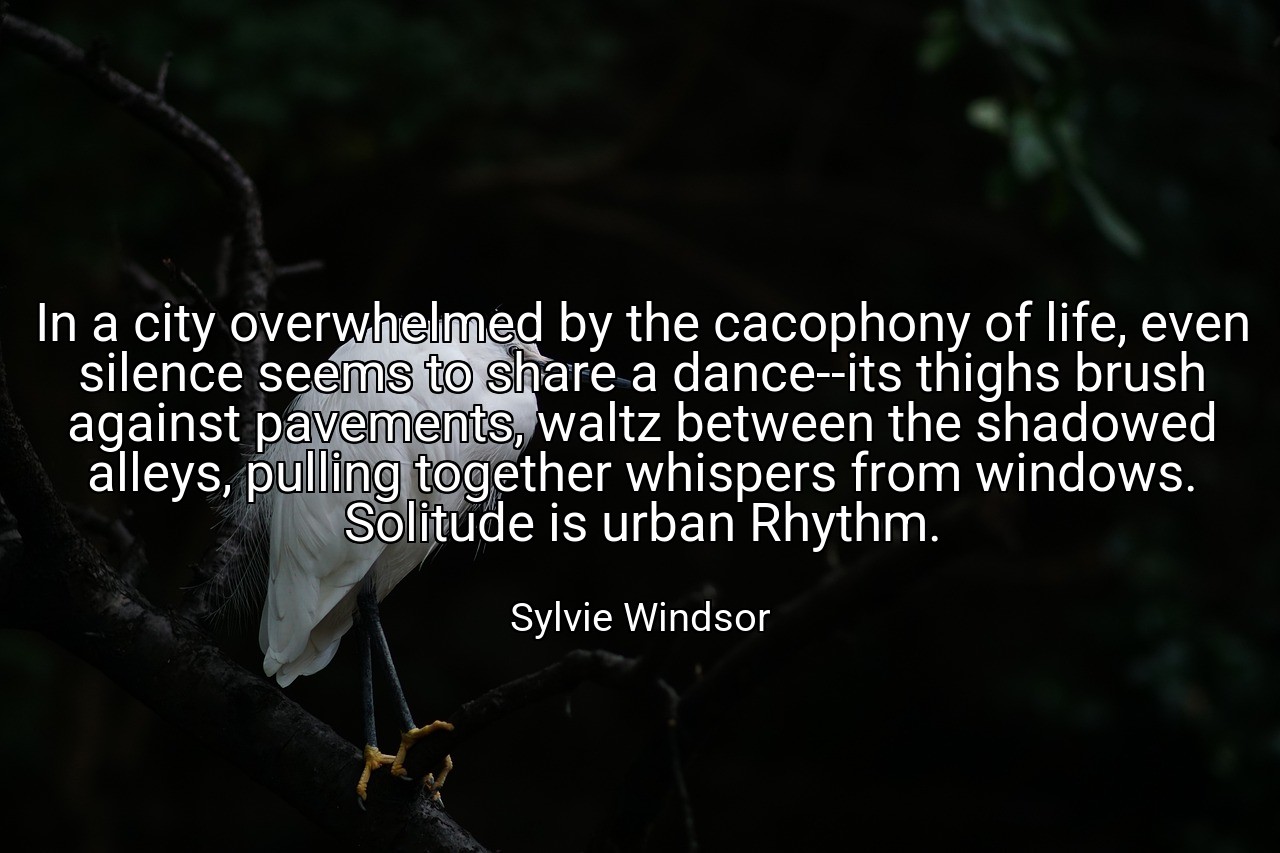 In a city overwhelmed by the cacophony of life, even silence seems to share a dance--its thighs brush against pavements, waltz between the shadowed alleys, pulling together whispers from windows. Solitude is urban Rhythm. - Sylvie Windsor
