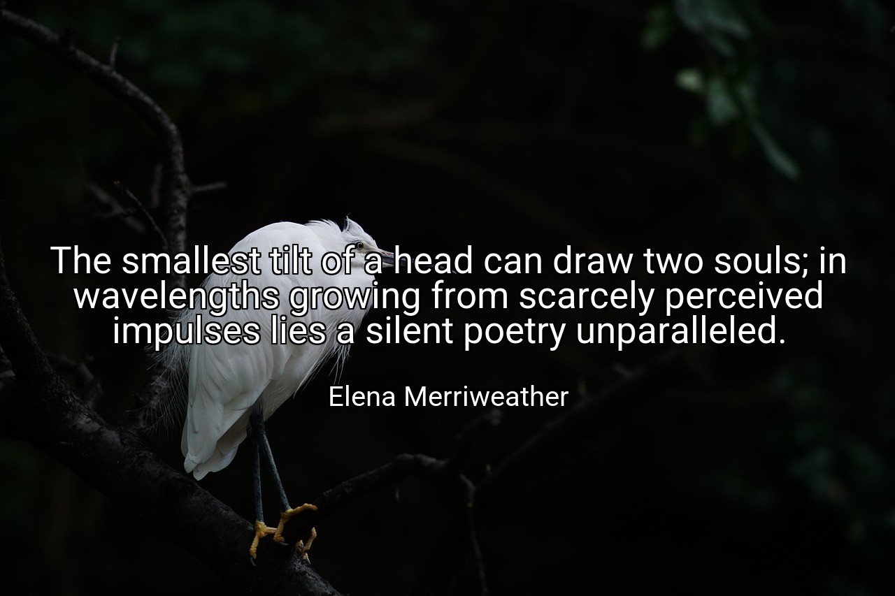The smallest tilt of a head can draw two souls; in wavelengths growing from scarcely perceived impulses lies a silent poetry unparalleled. - Elena Merriweather