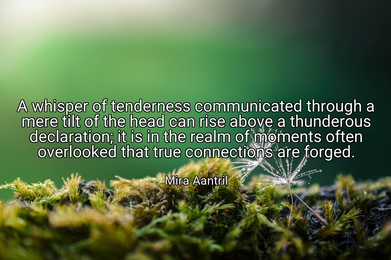 A whisper of tenderness communicated through a mere tilt of the head can rise above a thunderous declaration; it is in the realm of moments often overlooked that true connections are forged. - Mira Aantril