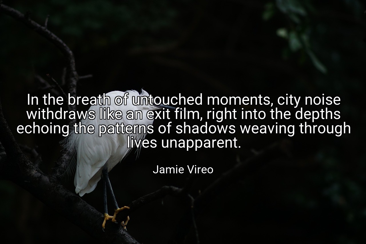 In the breath of untouched moments, city noise withdraws like an exit film, right into the depths echoing the patterns of shadows weaving through lives unapparent. - Jamie Vireo