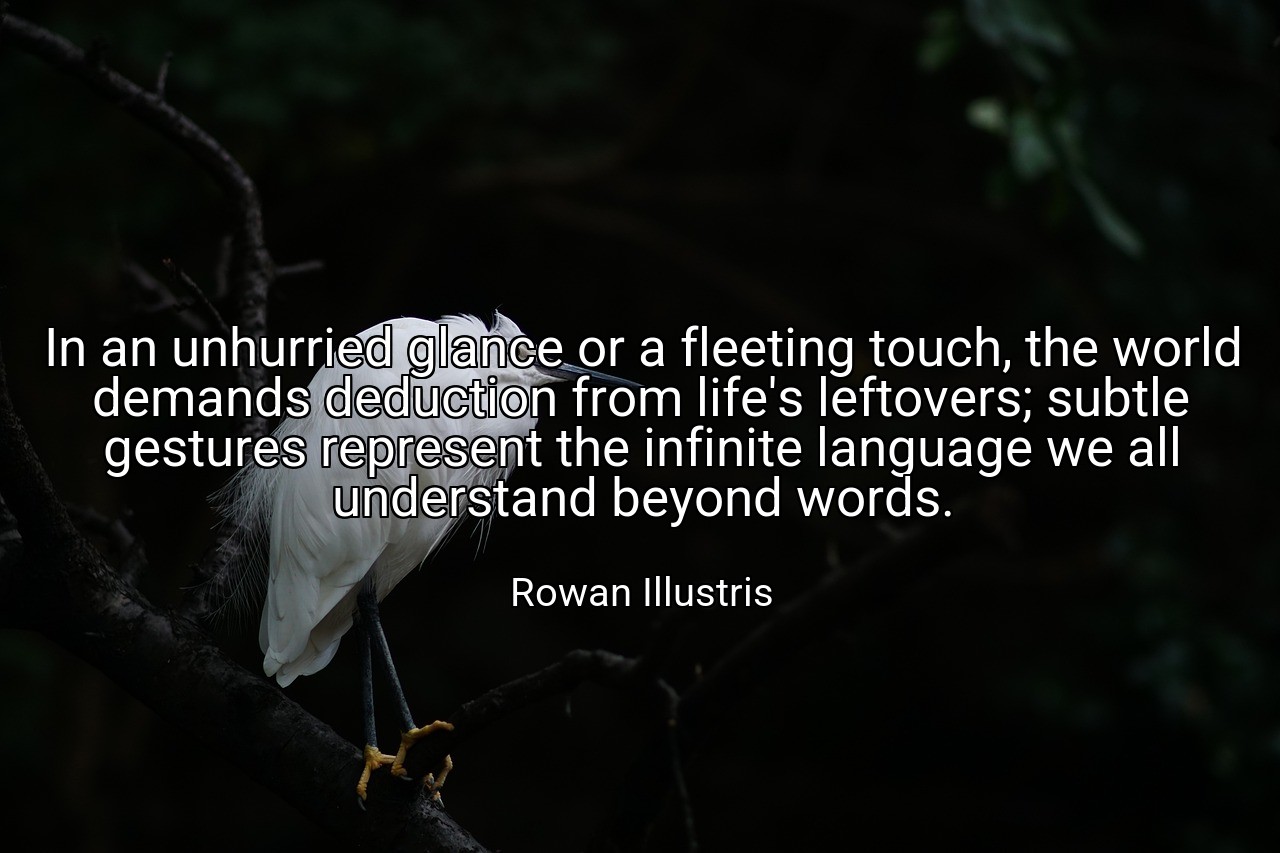 In an unhurried glance or a fleeting touch, the world demands deduction from life's leftovers; subtle gestures represent the infinite language we all understand beyond words. - Rowan Illustris