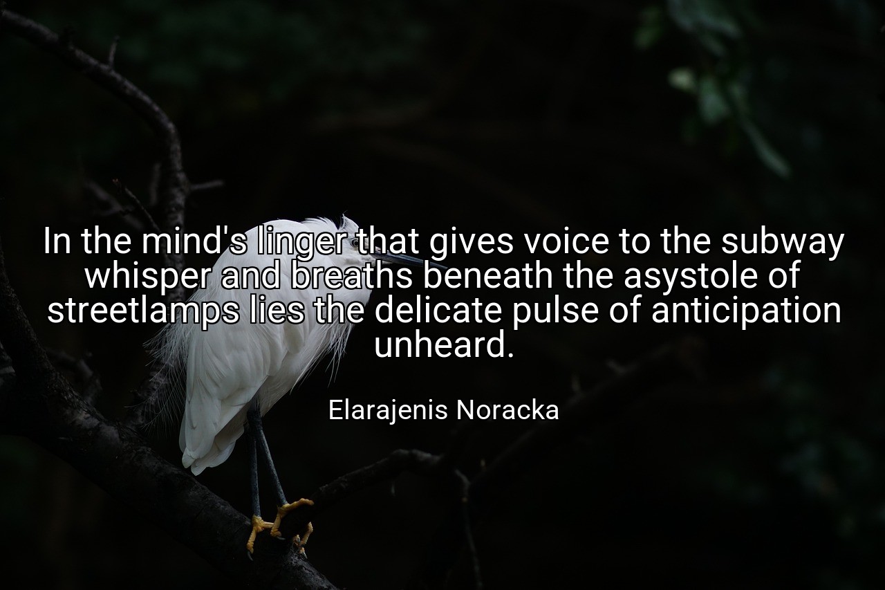 In the mind's linger that gives voice to the subway whisper and breaths beneath the asystole of streetlamps lies the delicate pulse of anticipation unheard. - Elarajenis Noracka