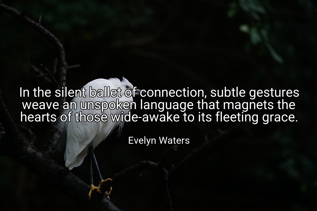 In the silent ballet of connection, subtle gestures weave an unspoken language that magnets the hearts of those wide-awake to its fleeting grace. - Evelyn Waters