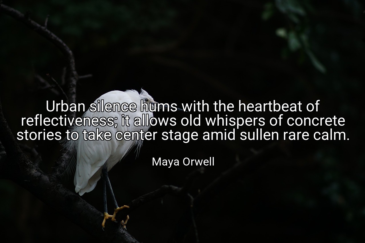 Urban silence hums with the heartbeat of reflectiveness; it allows old whispers of concrete stories to take center stage amid sullen rare calm. - Maya Orwell