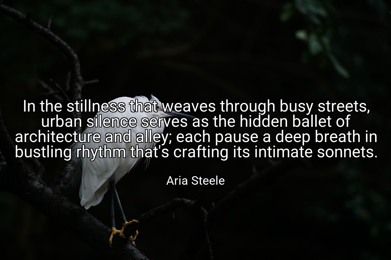 In the stillness that weaves through busy streets, urban silence serves as the hidden ballet of architecture and alley; each pause a deep breath in bustling rhythm that's crafting its intimate sonnets. - Aria Steele