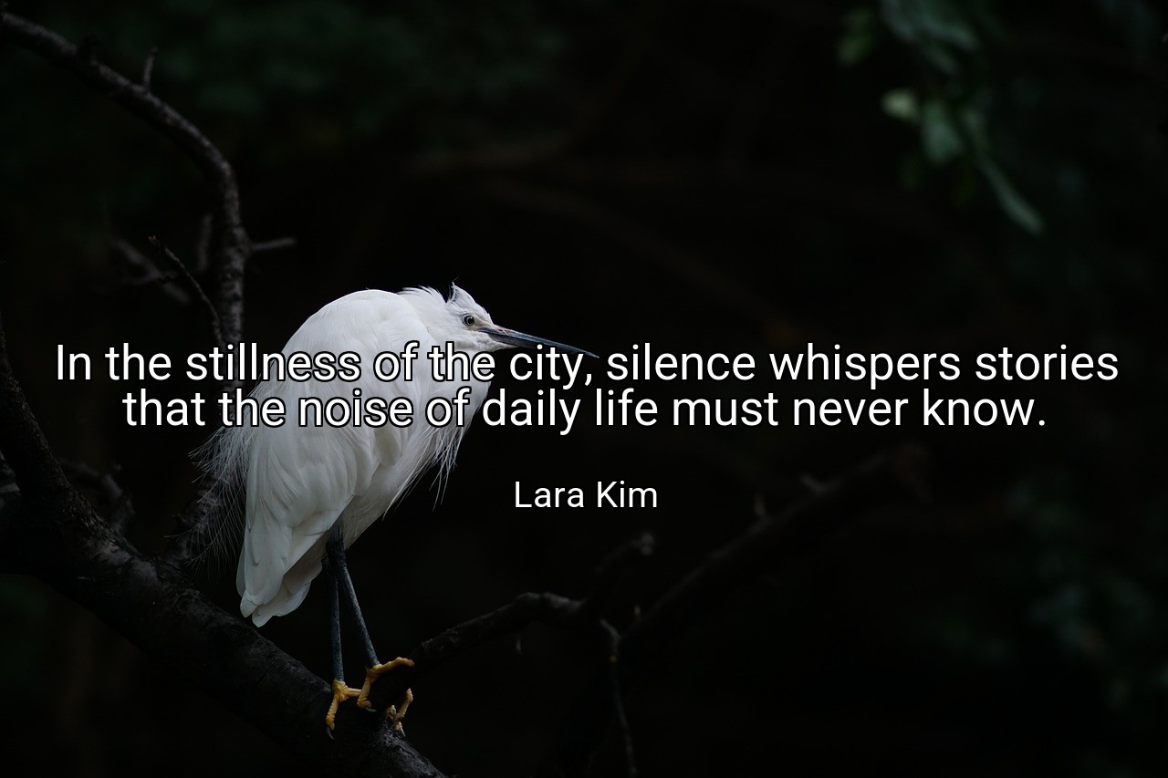 In the stillness of the city, silence whispers stories that the noise of daily life must never know. - Lara Kim