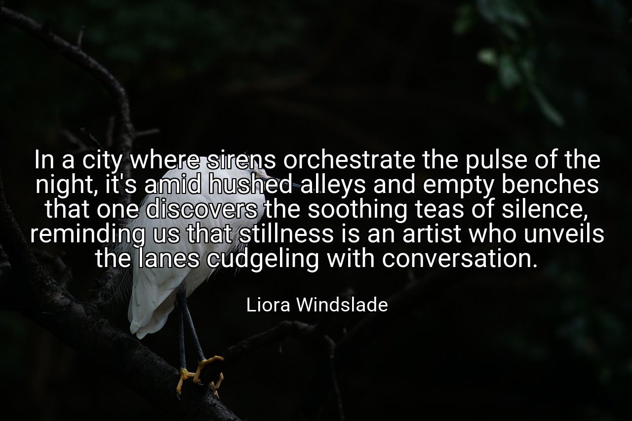In a city where sirens orchestrate the pulse of the night, it's amid hushed alleys and empty benches that one discovers the soothing teas of silence, reminding us that stillness is an artist who unveils the lanes cudgeling with conversation. - Liora Windslade