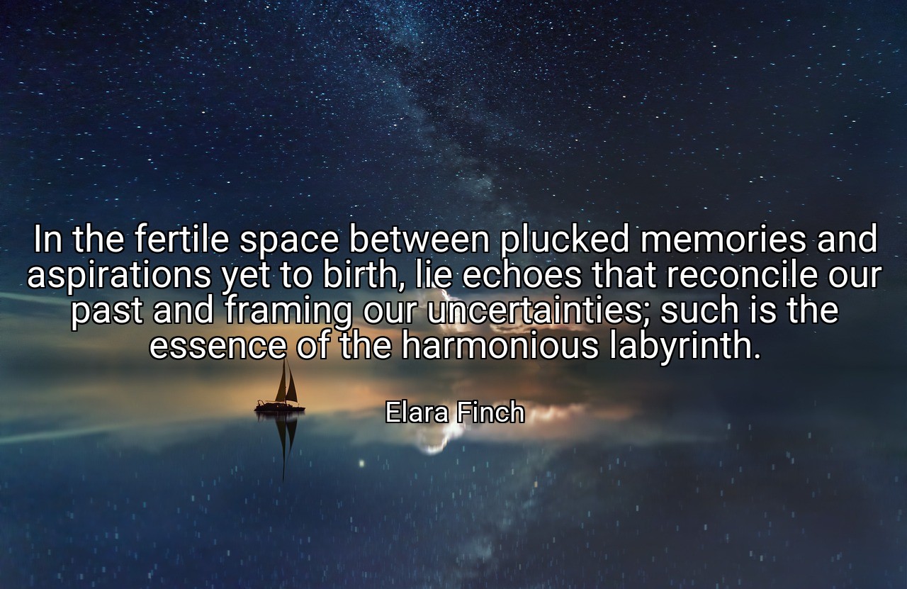 In the fertile space between plucked memories and aspirations yet to birth, lie echoes that reconcile our past and framing our uncertainties; such is the essence of the harmonious labyrinth. - Elara Finch