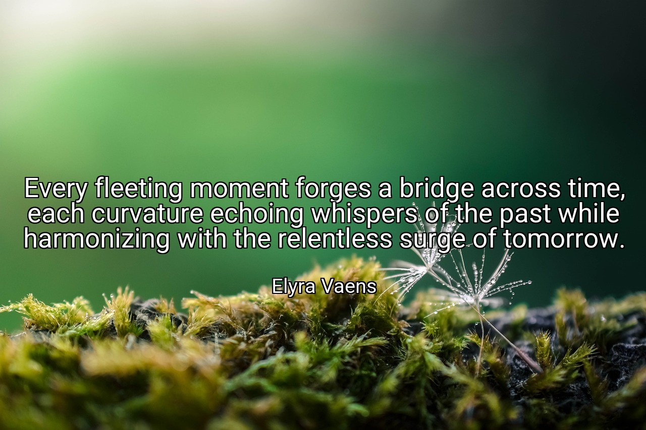 Every fleeting moment forges a bridge across time, each curvature echoing whispers of the past while harmonizing with the relentless surge of tomorrow. - Elyra Vaens