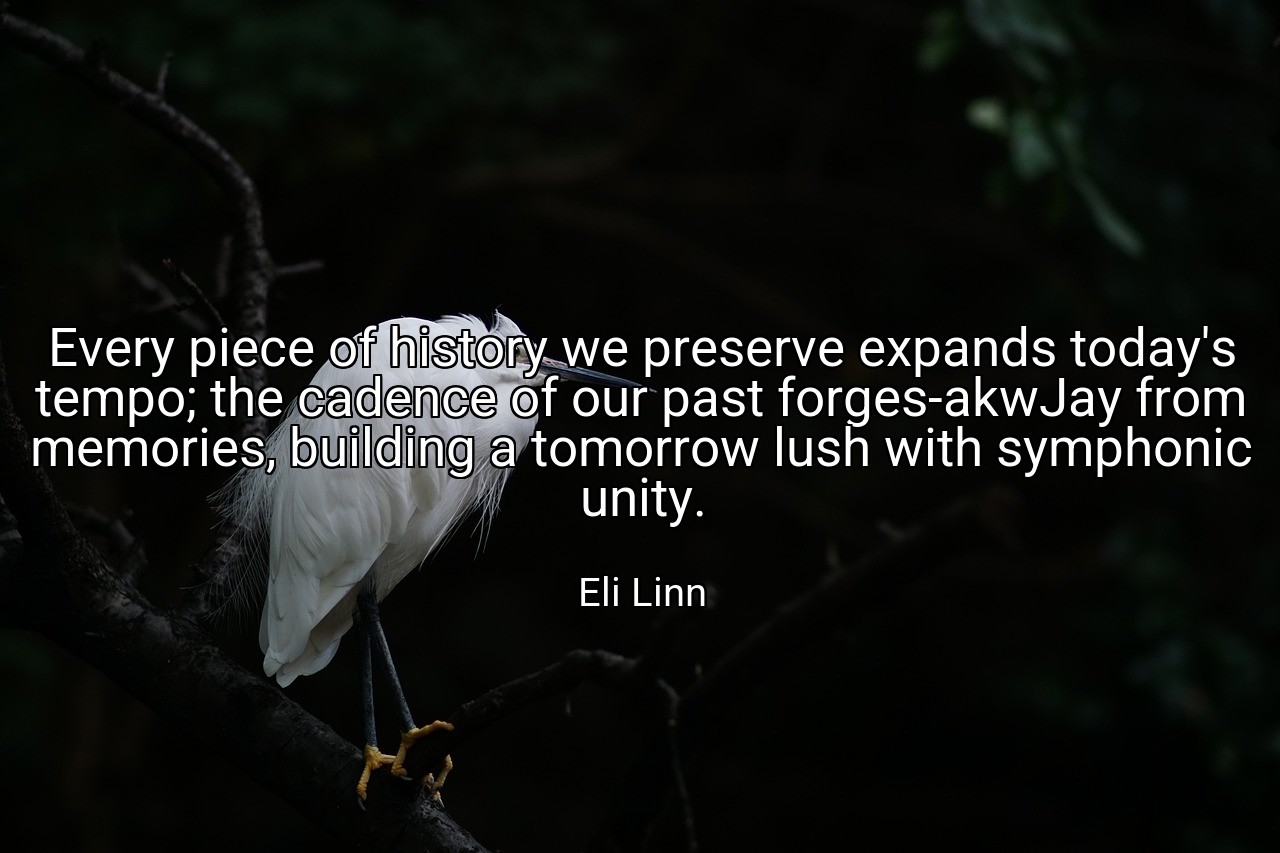Every piece of history we preserve expands today's tempo; the cadence of our past forges-akwJay from memories, building a tomorrow lush with symphonic unity. - Eli Linn