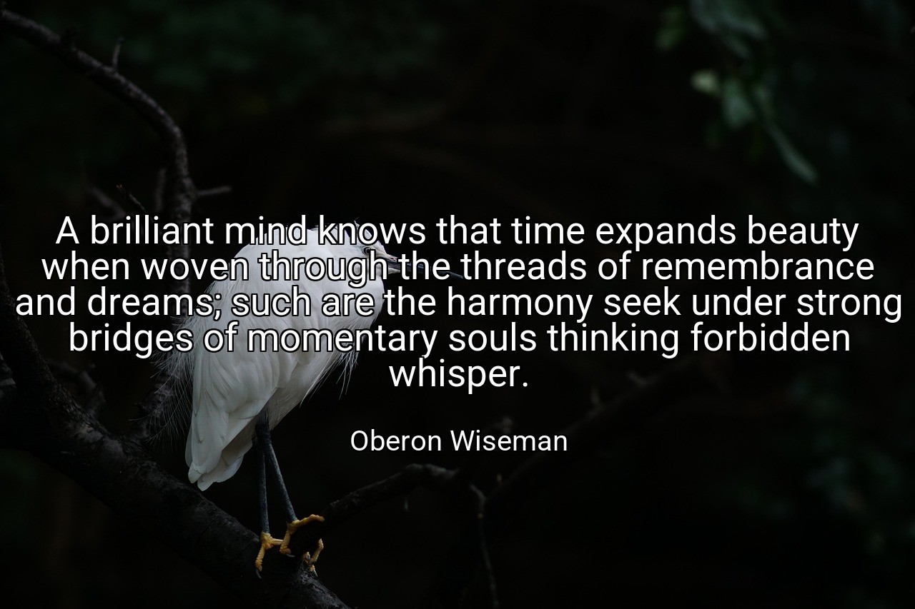 A brilliant mind knows that time expands beauty when woven through the threads of remembrance and dreams; such are the harmony seek under strong bridges of momentary souls thinking forbidden whisper. - Oberon Wiseman