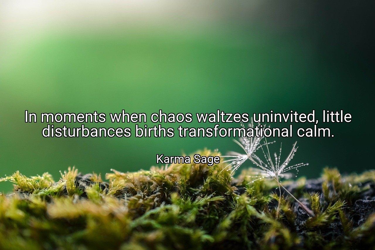 In moments when chaos waltzes uninvited, little disturbances births transformational calm. - Karma Sage