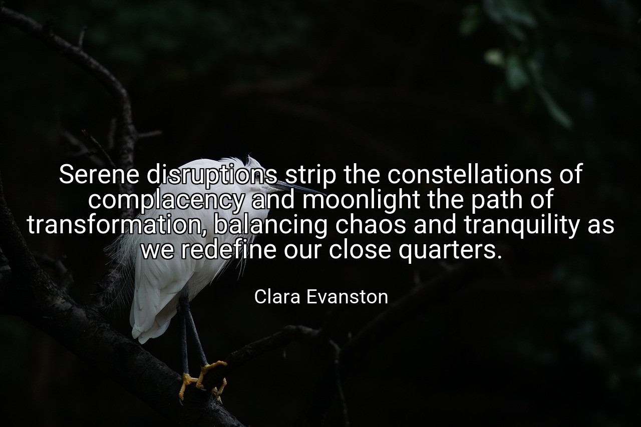 Serene disruptions strip the constellations of complacency and moonlight the path of transformation, balancing chaos and tranquility as we redefine our close quarters. - Clara Evanston