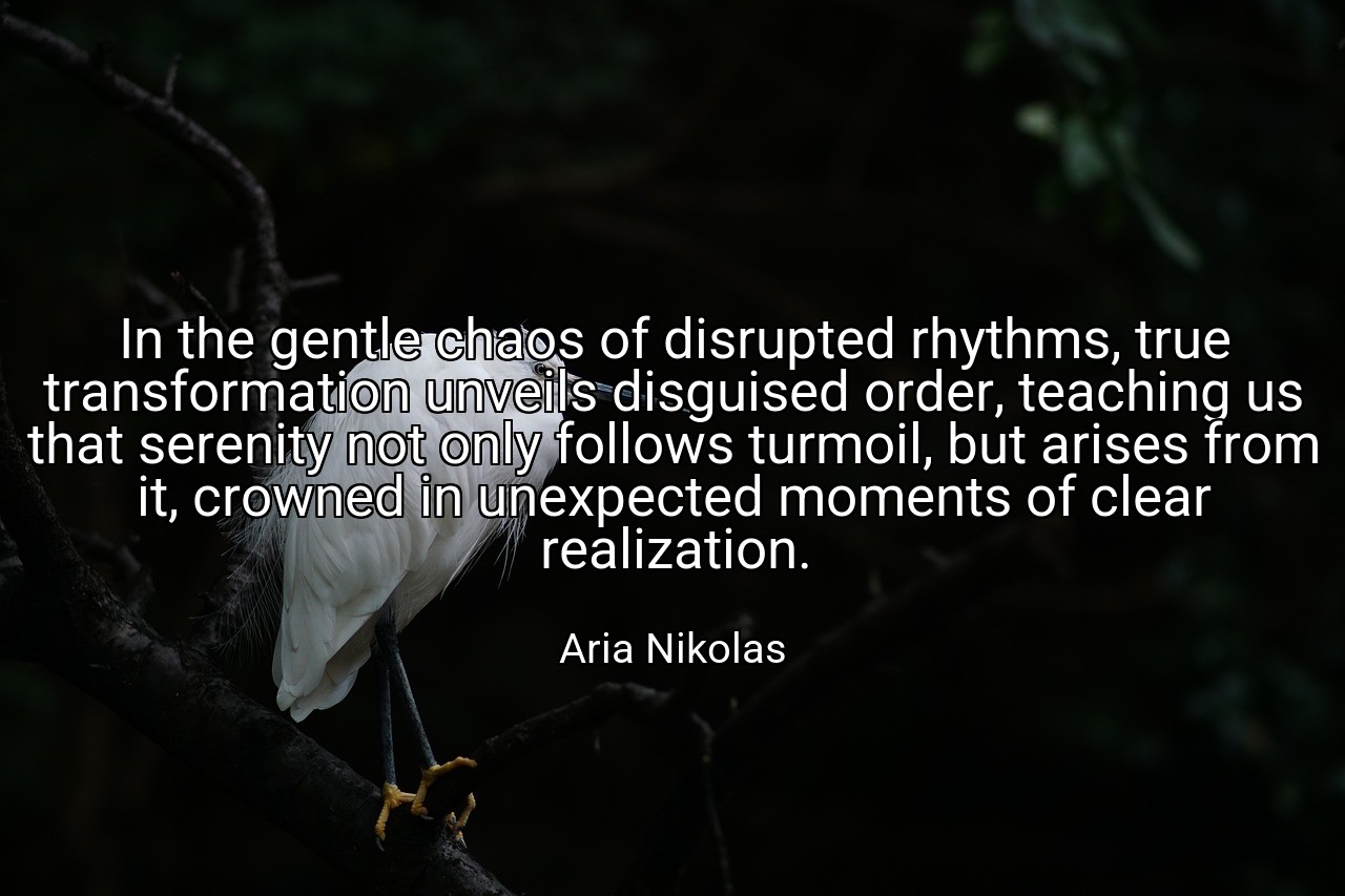 In the gentle chaos of disrupted rhythms, true transformation unveils disguised order, teaching us that serenity not only follows turmoil, but arises from it, crowned in unexpected moments of clear realization. - Aria Nikolas