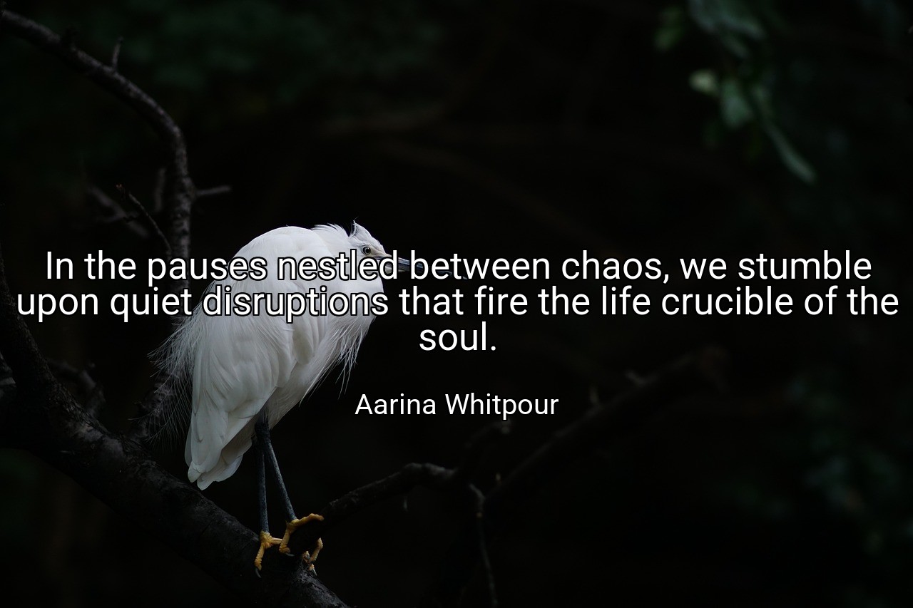 In the pauses nestled between chaos, we stumble upon quiet disruptions that fire the life crucible of the soul. - Aarina Whitpour