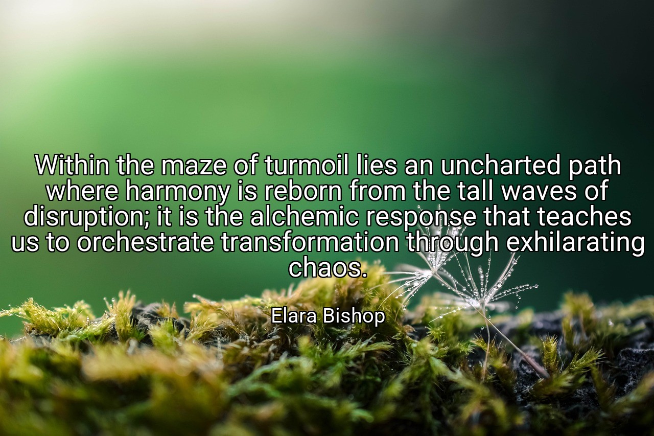 Within the maze of turmoil lies an uncharted path where harmony is reborn from the tall waves of disruption; it is the alchemic response that teaches us to orchestrate transformation through exhilarating chaos. - Elara Bishop