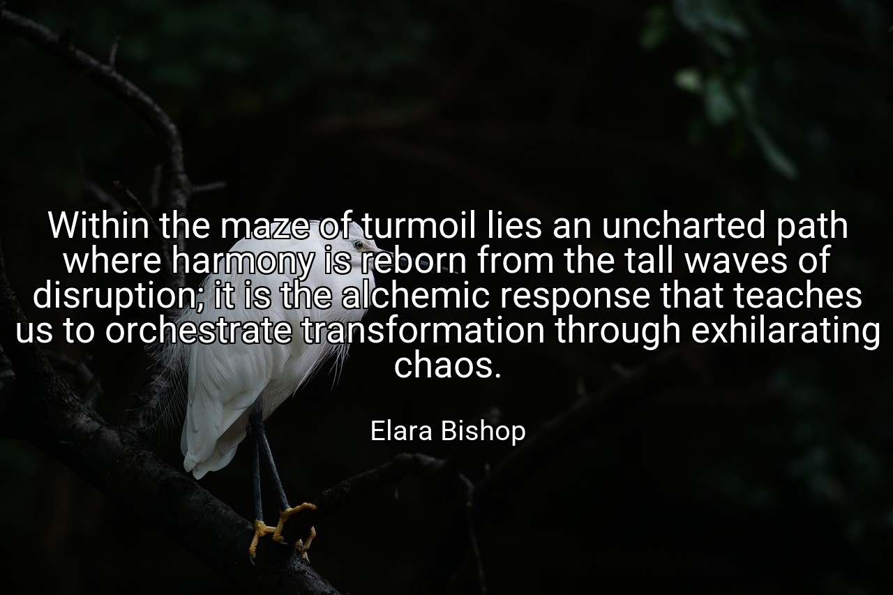 Within the maze of turmoil lies an uncharted path where harmony is reborn from the tall waves of disruption; it is the alchemic response that teaches us to orchestrate transformation through exhilarating chaos. - Elara Bishop