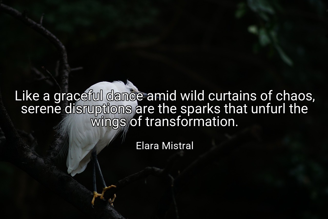 Like a graceful dance amid wild curtains of chaos, serene disruptions are the sparks that unfurl the wings of transformation. - Elara Mistral