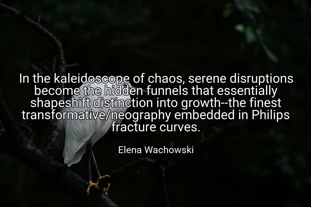 In the kaleidoscope of chaos, serene disruptions become the hidden funnels that essentially shapeshift distinction into growth--the finest transformative/neography embedded in Philips fracture curves. - Elena Wachowski