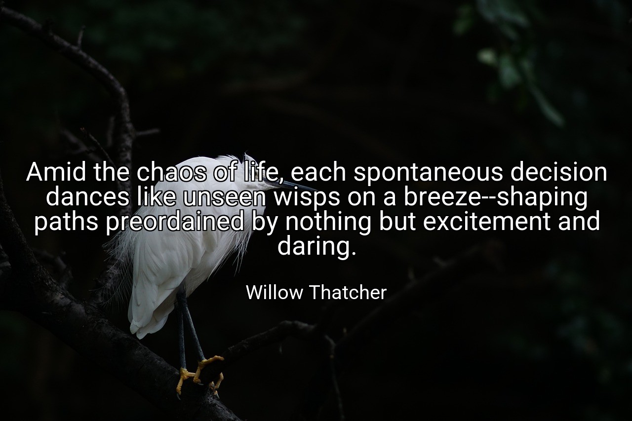 Amid the chaos of life, each spontaneous decision dances like unseen wisps on a breeze--shaping paths preordained by nothing but excitement and daring. - Willow Thatcher