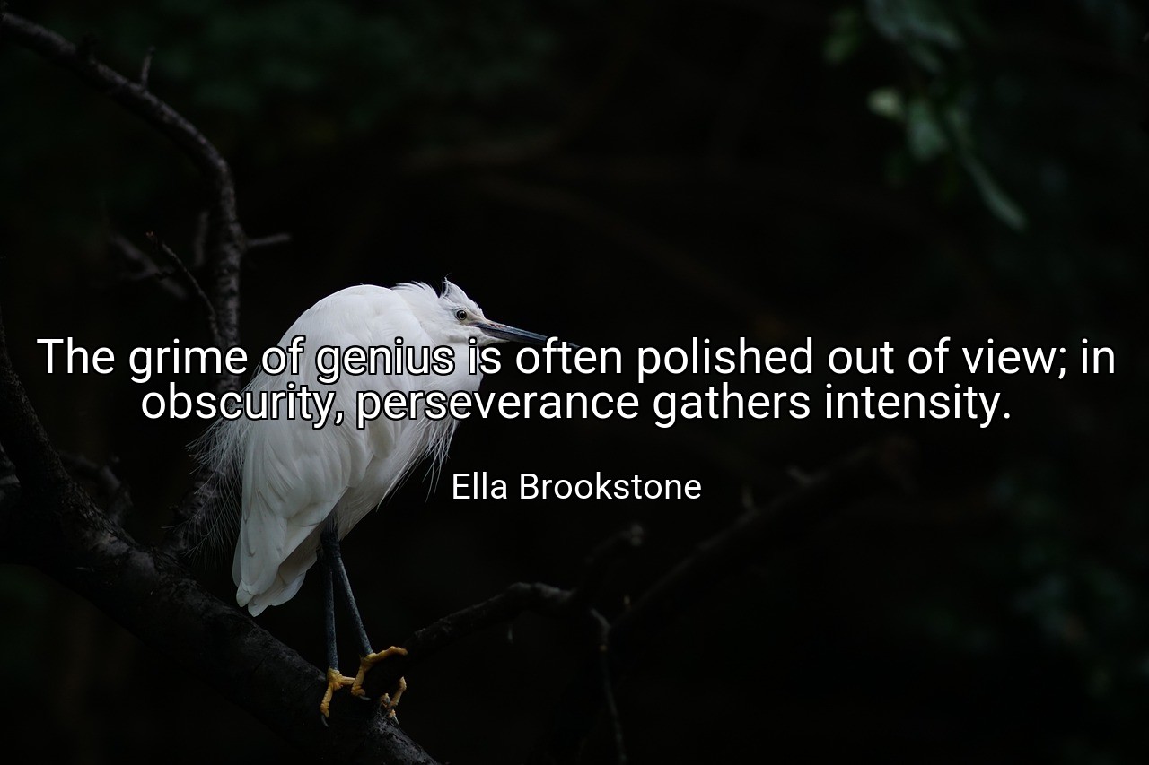 The grime of genius is often polished out of view; in obscurity, perseverance gathers intensity. - Ella Brookstone