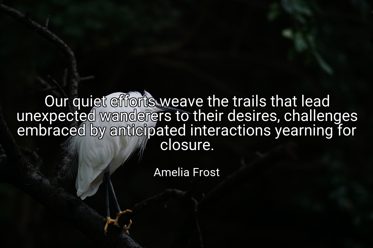 Our quiet efforts weave the trails that lead unexpected wanderers to their desires, challenges embraced by anticipated interactions yearning for closure. - Amelia Frost