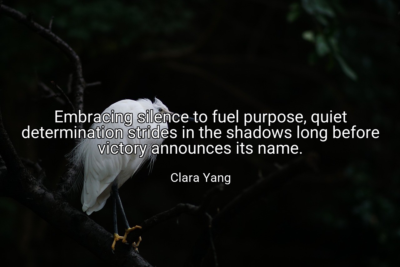Embracing silence to fuel purpose, quiet determination strides in the shadows long before victory announces its name. - Clara Yang