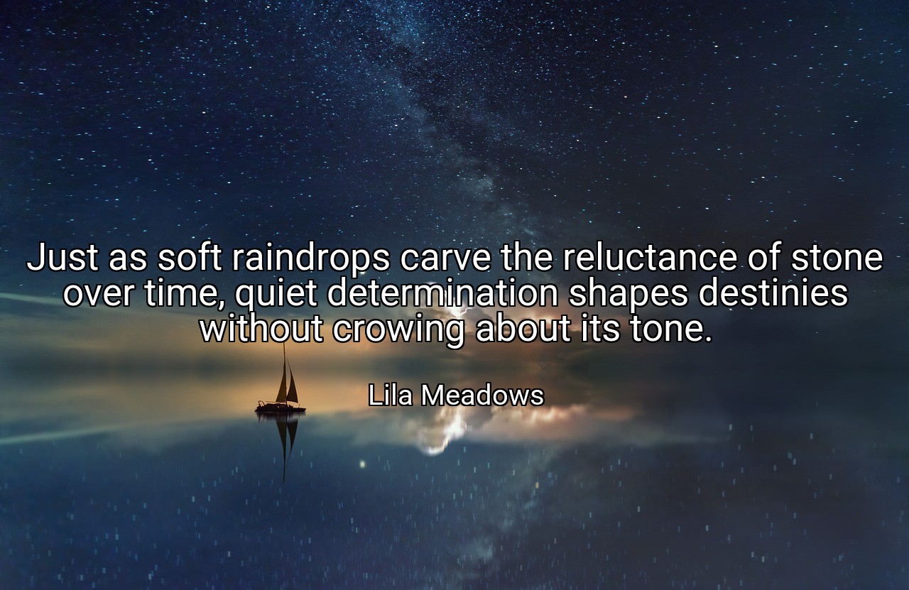 Just as soft raindrops carve the reluctance of stone over time, quiet determination shapes destinies without crowing about its tone. - Lila Meadows