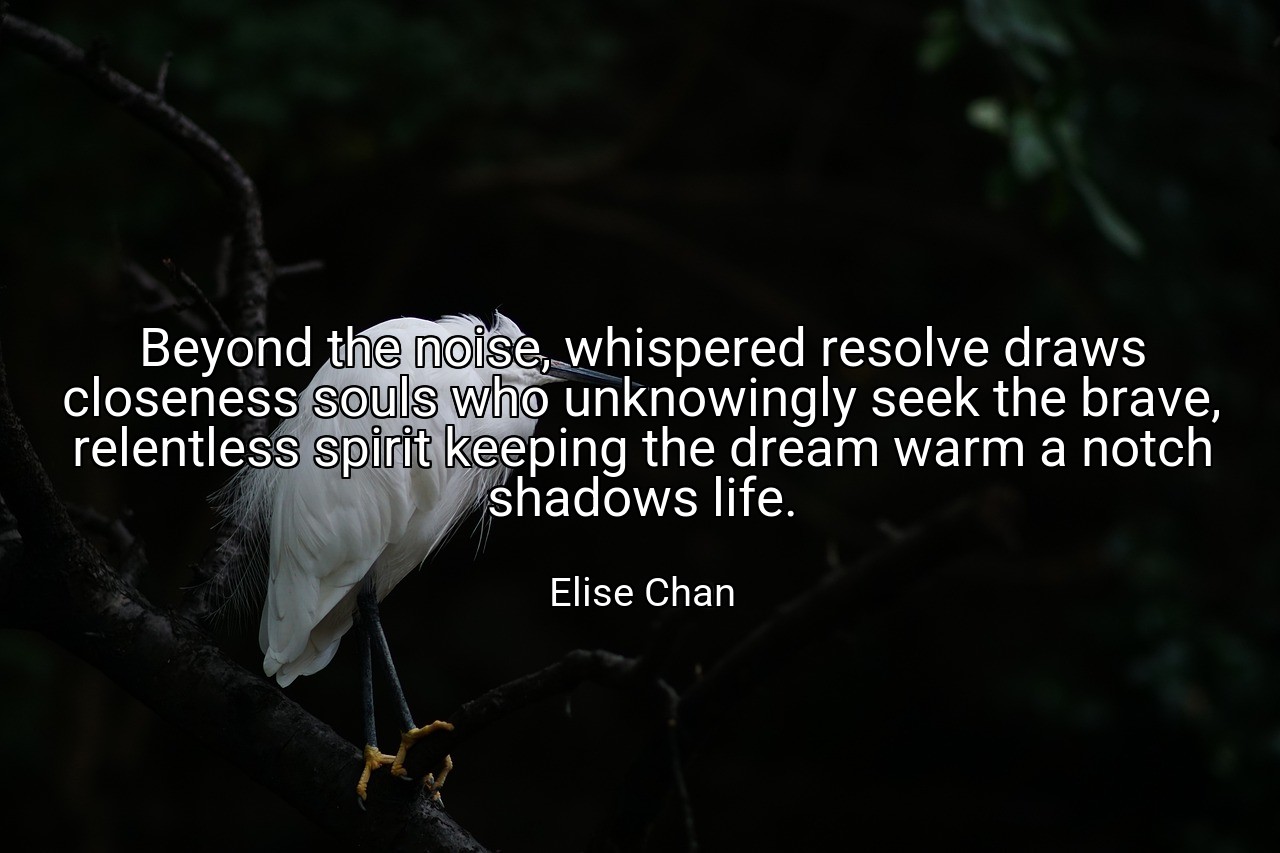 Beyond the noise, whispered resolve draws closeness souls who unknowingly seek the brave, relentless spirit keeping the dream warm a notch shadows life. - Elise Chan