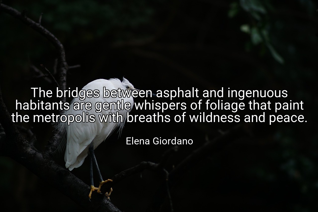 The bridges between asphalt and ingenuous habitants are gentle whispers of foliage that paint the metropolis with breaths of wildness and peace. - Elena Giordano