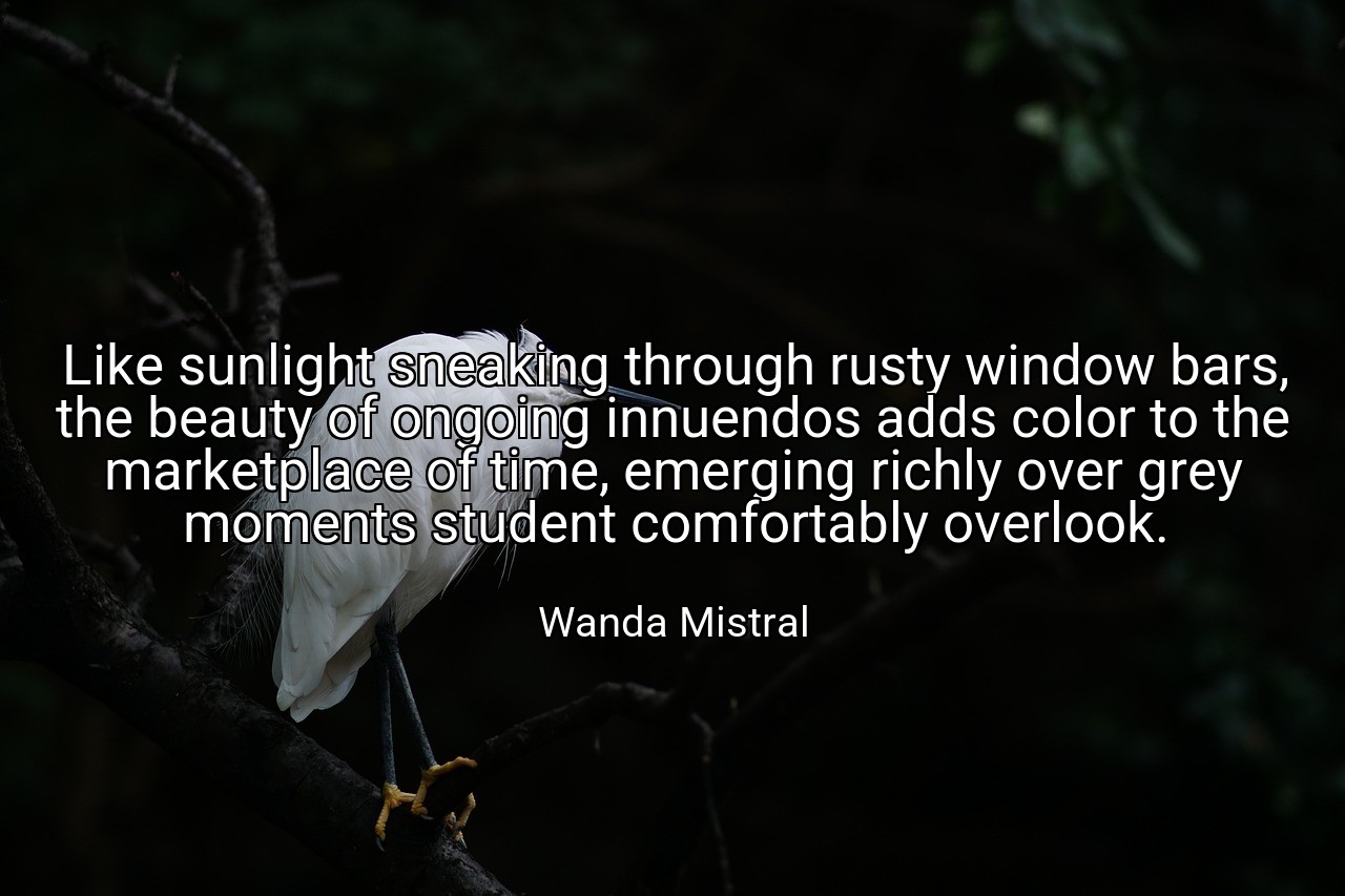 Like sunlight sneaking through rusty window bars, the beauty of ongoing innuendos adds color to the marketplace of time, emerging richly over grey moments student comfortably overlook. - Wanda Mistral