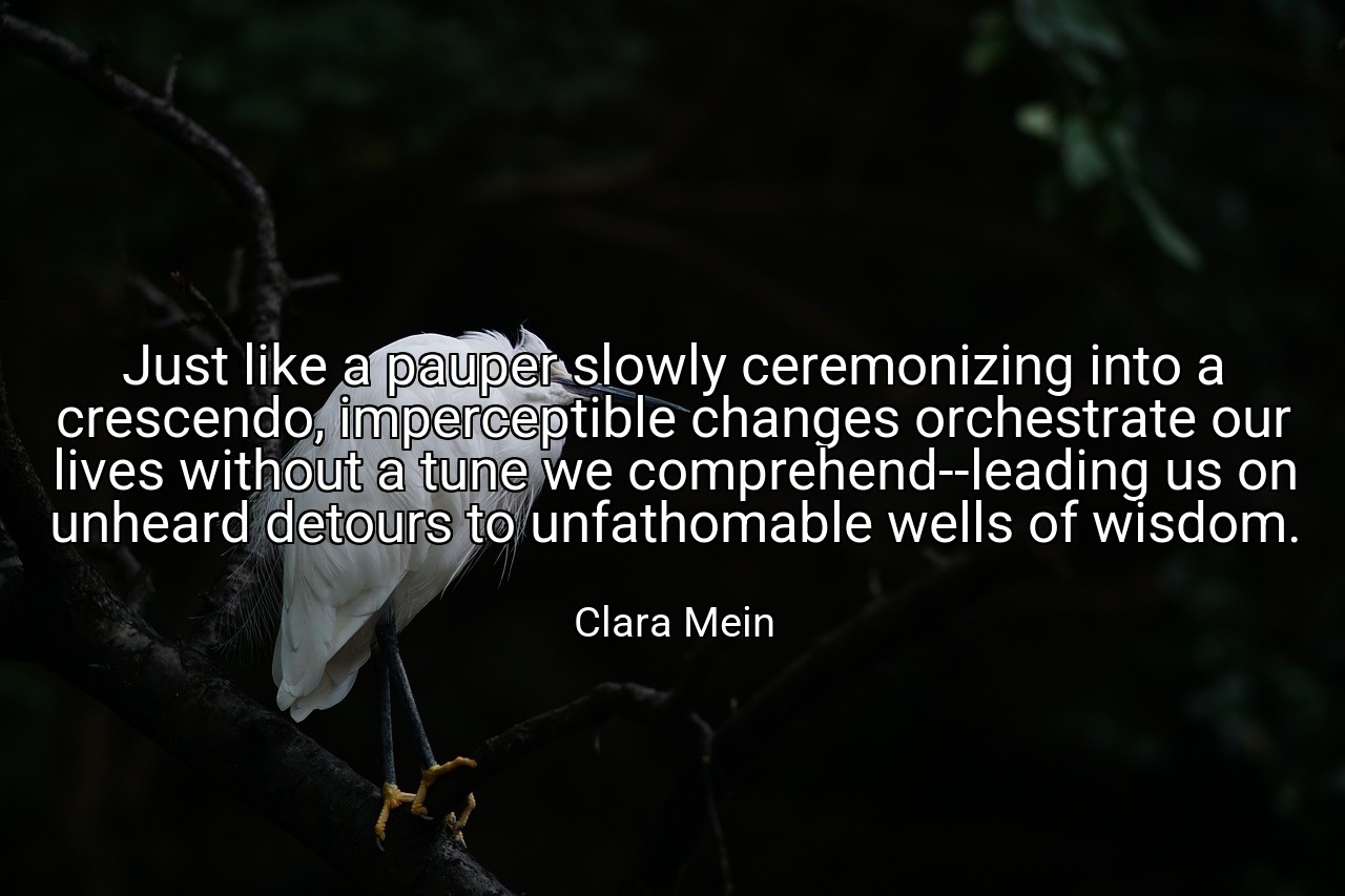 Just like a pauper slowly ceremonizing into a crescendo, imperceptible changes orchestrate our lives without a tune we comprehend--leading us on unheard detours to unfathomable wells of wisdom. - Clara Mein