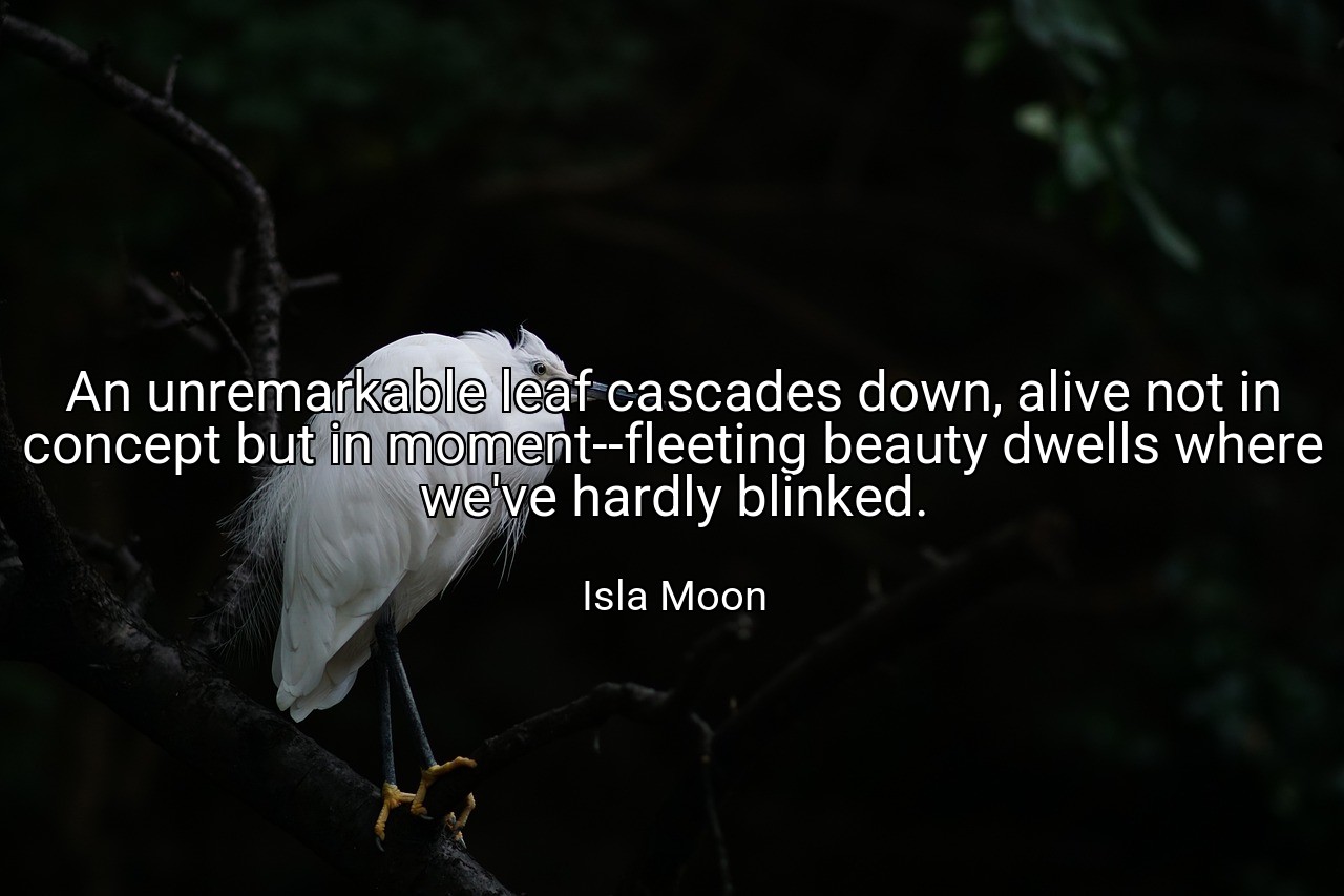 An unremarkable leaf cascades down, alive not in concept but in moment--fleeting beauty dwells where we've hardly blinked. - Isla Moon