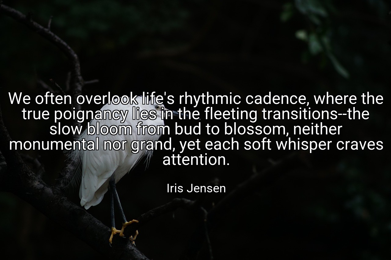 We often overlook life's rhythmic cadence, where the true poignancy lies in the fleeting transitions--the slow bloom from bud to blossom, neither monumental nor grand, yet each soft whisper craves attention. - Iris Jensen