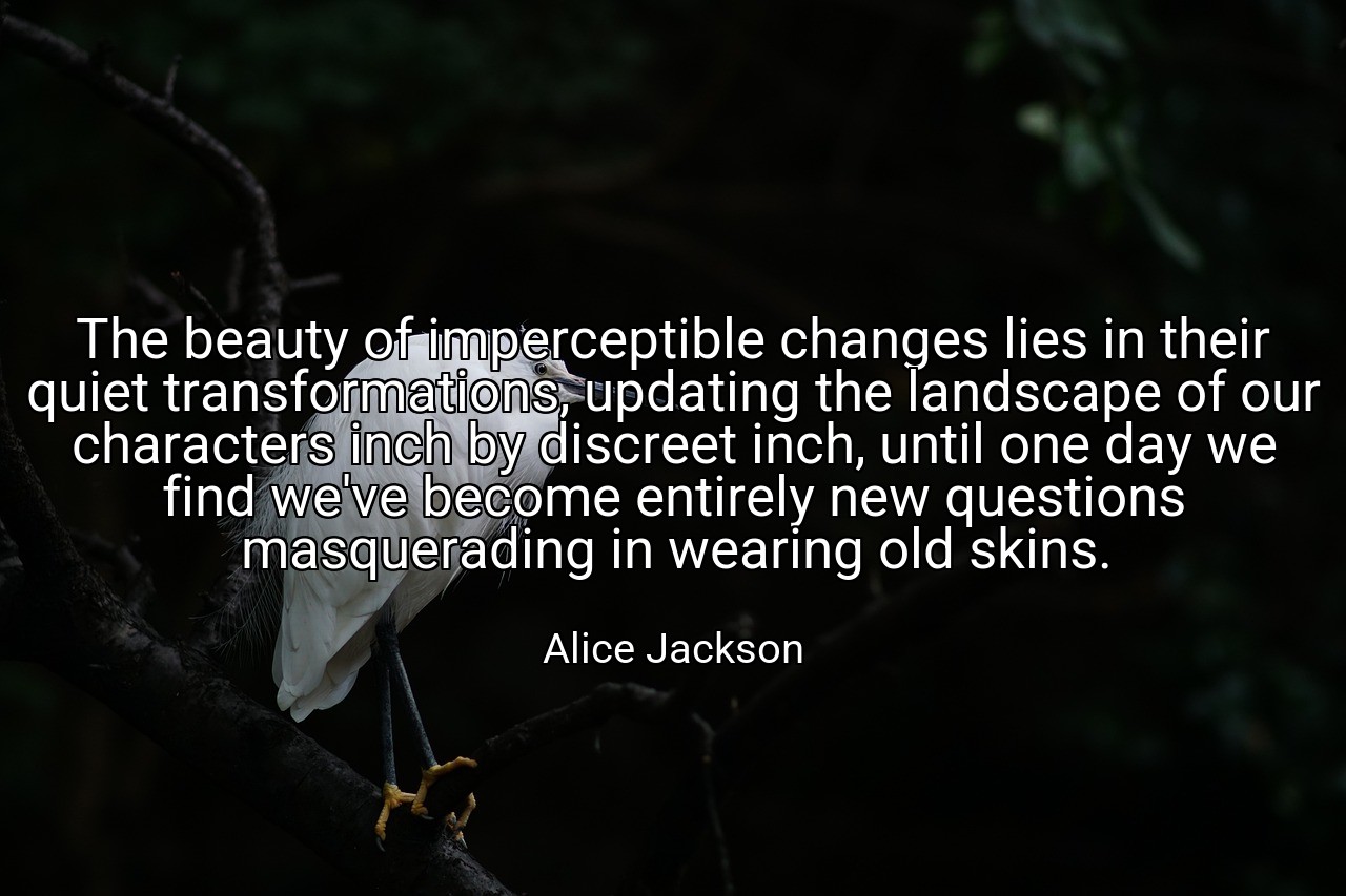 The beauty of imperceptible changes lies in their quiet transformations, updating the landscape of our characters inch by discreet inch, until one day we find we've become entirely new questions masquerading in wearing old skins. - Alice Jackson