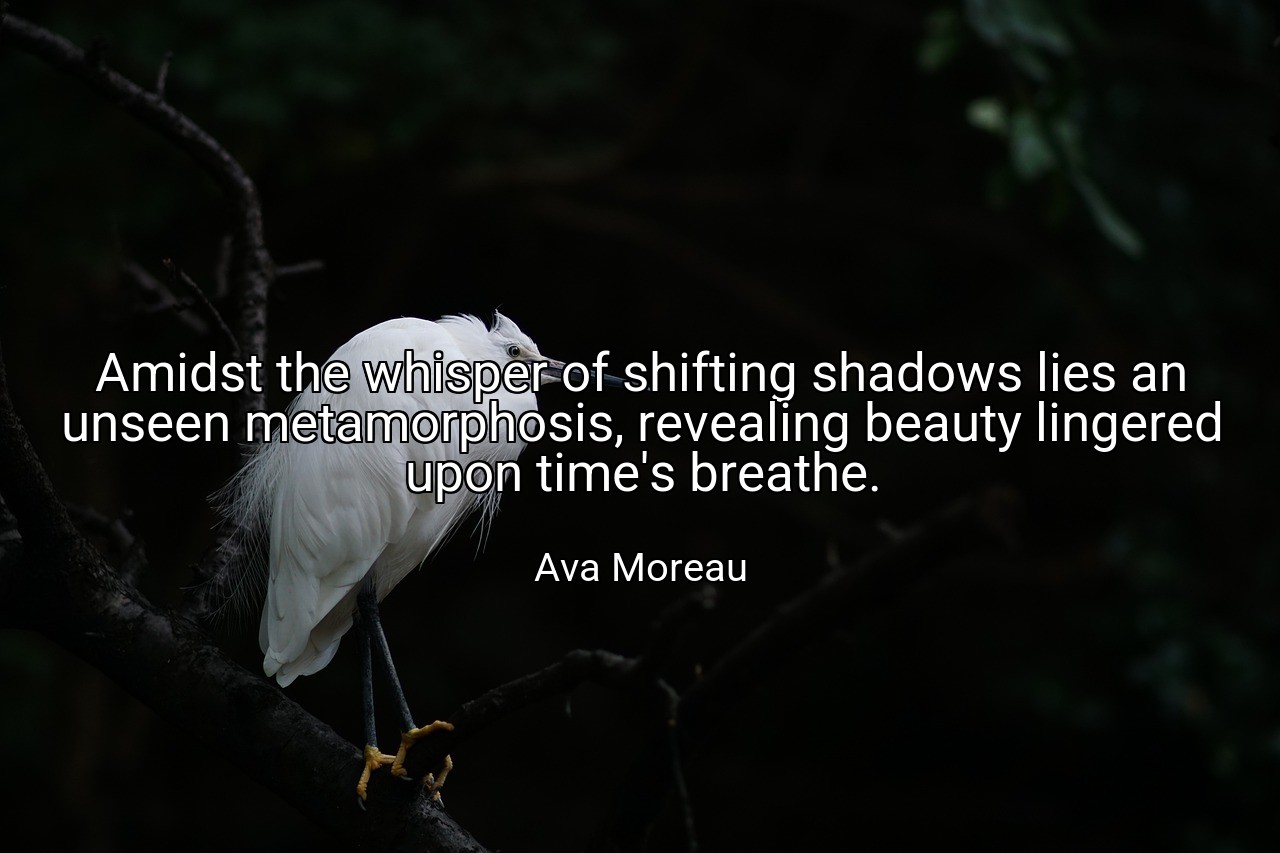 Amidst the whisper of shifting shadows lies an unseen metamorphosis, revealing beauty lingered upon time's breathe. - Ava Moreau