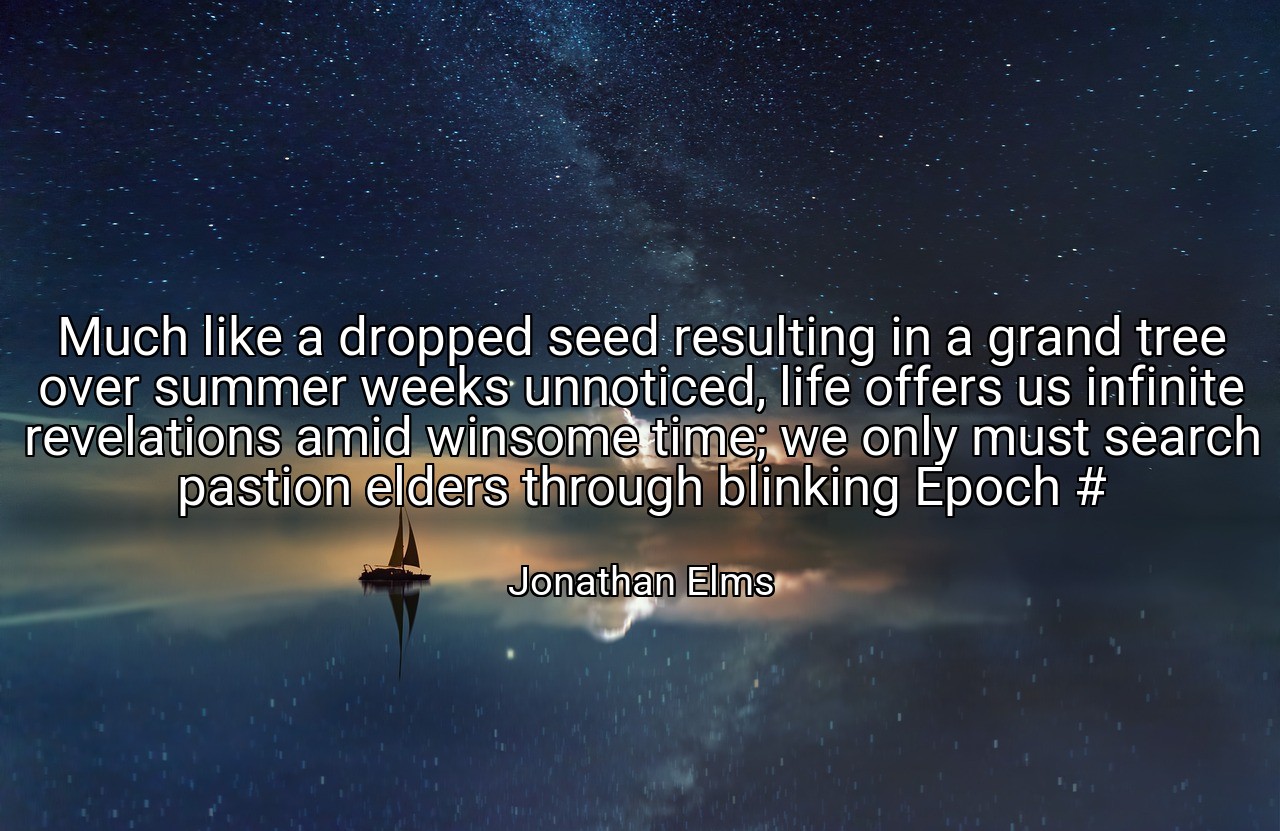 Much like a dropped seed resulting in a grand tree over summer weeks unnoticed, life offers us infinite revelations amid winsome time; we only must search pastion elders through blinking Epoch # - Jonathan Elms