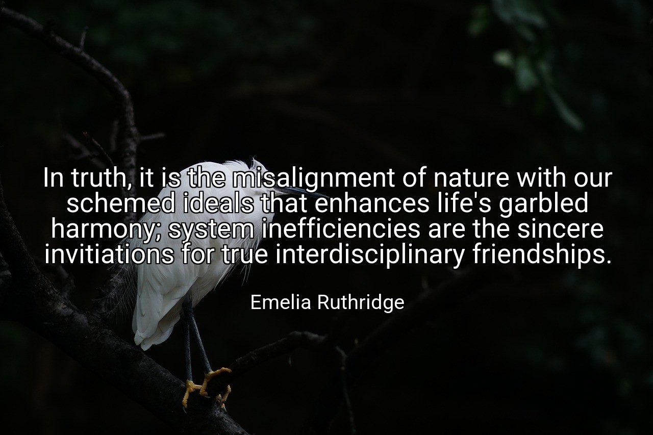 In truth, it is the misalignment of nature with our schemed ideals that enhances life's garbled harmony; system inefficiencies are the sincere invitiations for true interdisciplinary friendships. - Emelia Ruthridge