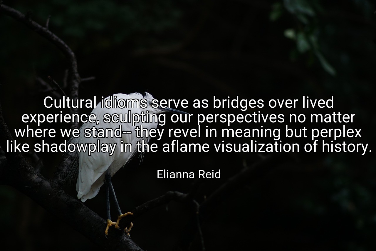 Cultural idioms serve as bridges over lived experience, sculpting our perspectives no matter where we stand-- they revel in meaning but perplex like shadowplay in the aflame visualization of history. - Elianna Reid