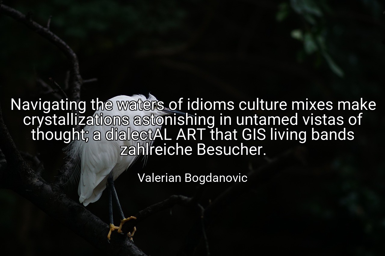 Navigating the waters of idioms culture mixes make crystallizations astonishing in untamed vistas of thought; a dialectAL ART that GIS living bands zahlreiche Besucher. - Valerian Bogdanovic
