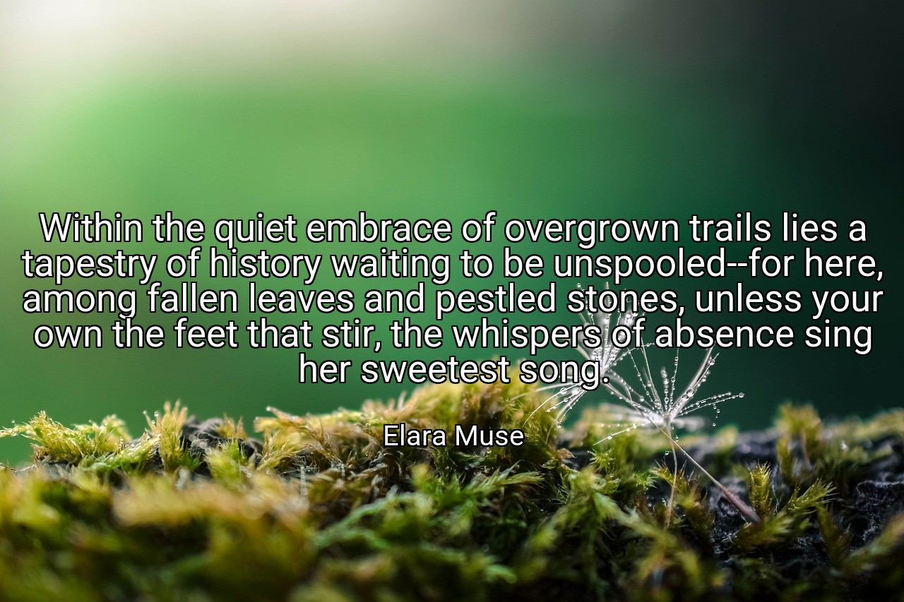 Within the quiet embrace of overgrown trails lies a tapestry of history waiting to be unspooled--for here, among fallen leaves and pestled stones, unless your own the feet that stir, the whispers of absence sing her sweetest song. - Elara Muse