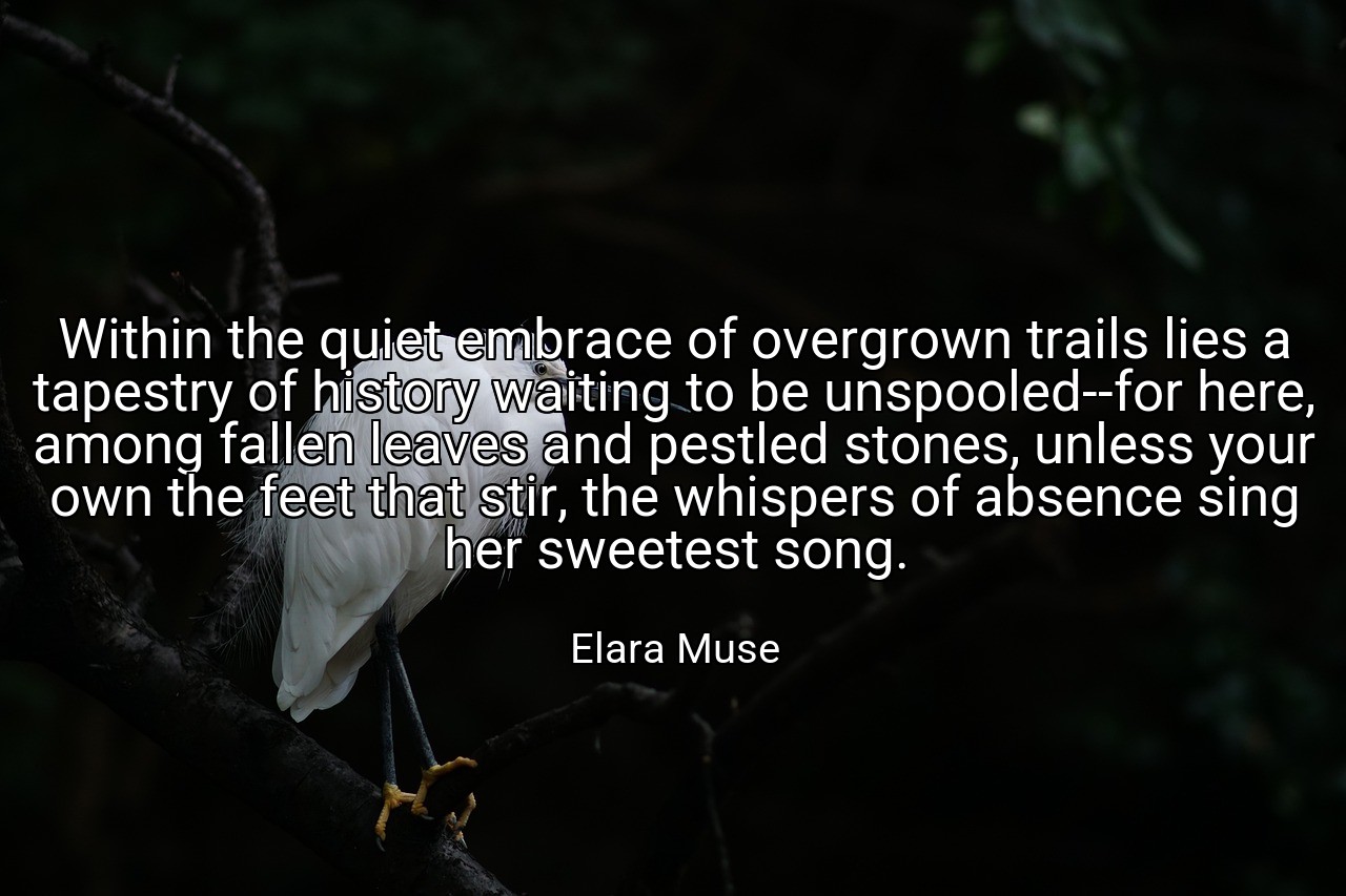 Within the quiet embrace of overgrown trails lies a tapestry of history waiting to be unspooled--for here, among fallen leaves and pestled stones, unless your own the feet that stir, the whispers of absence sing her sweetest song. - Elara Muse