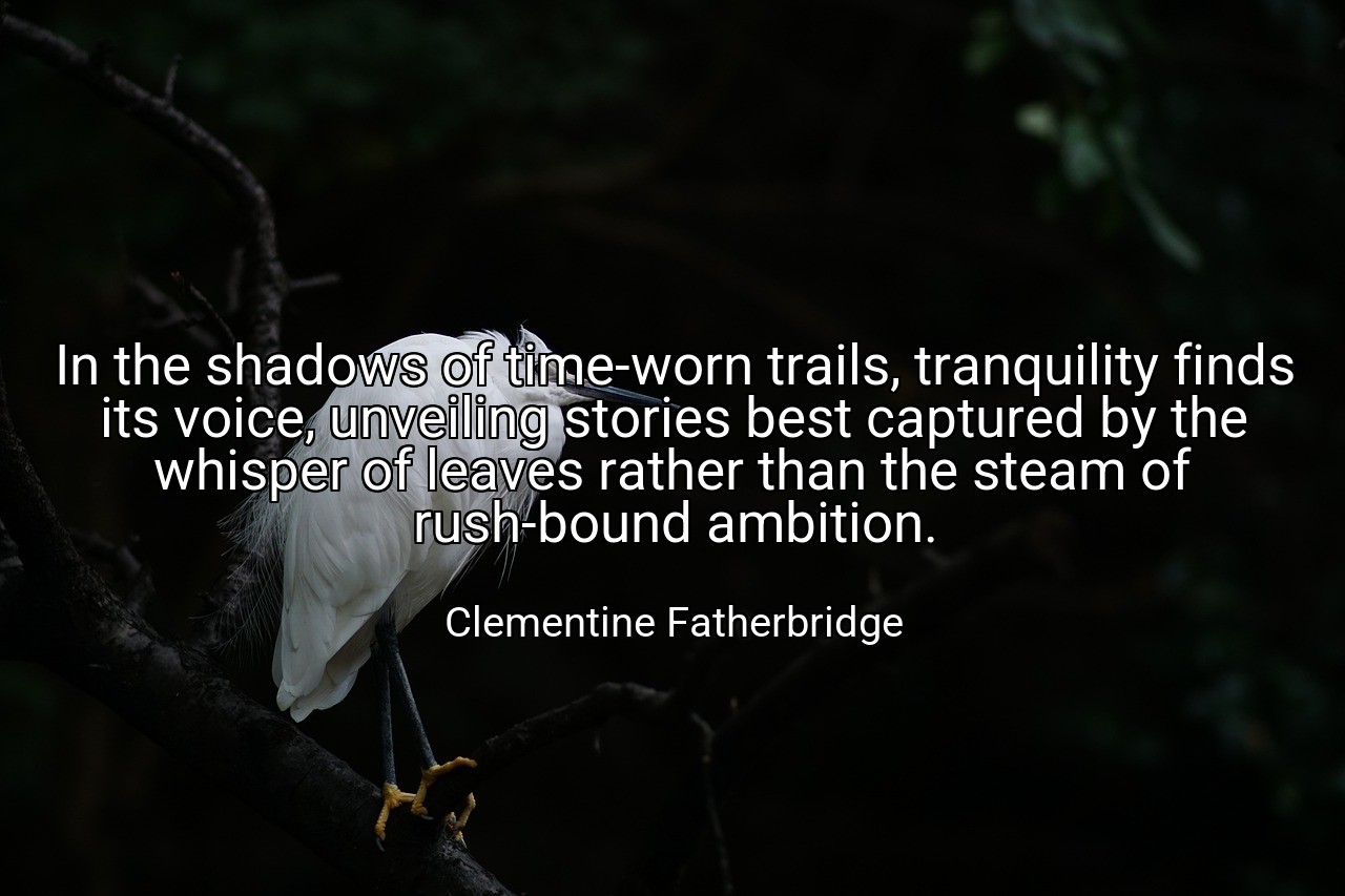 In the shadows of time-worn trails, tranquility finds its voice, unveiling stories best captured by the whisper of leaves rather than the steam of rush-bound ambition. - Clementine Fatherbridge