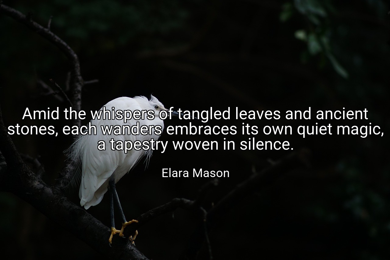 Amid the whispers of tangled leaves and ancient stones, each wanders embraces its own quiet magic, a tapestry woven in silence. - Elara Mason