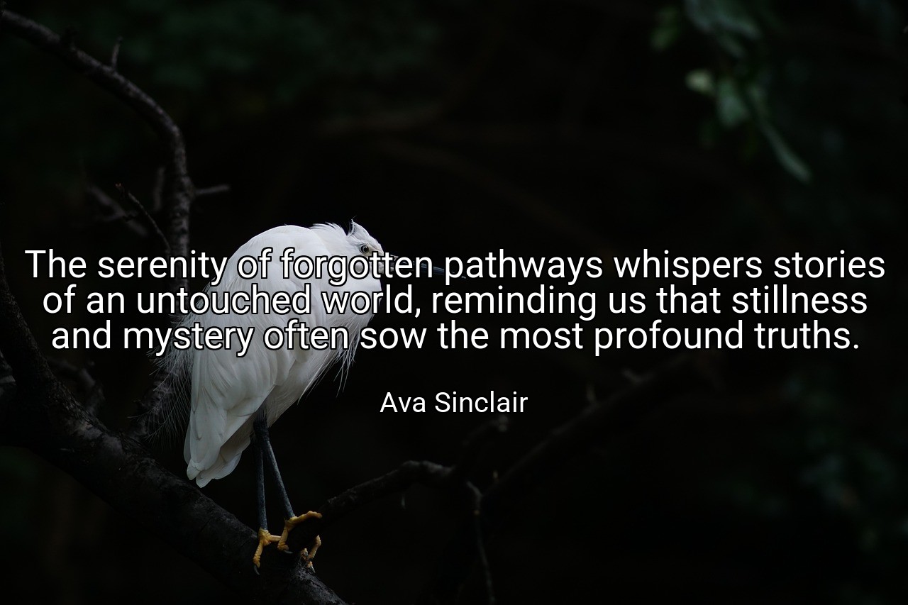 The serenity of forgotten pathways whispers stories of an untouched world, reminding us that stillness and mystery often sow the most profound truths. - Ava Sinclair