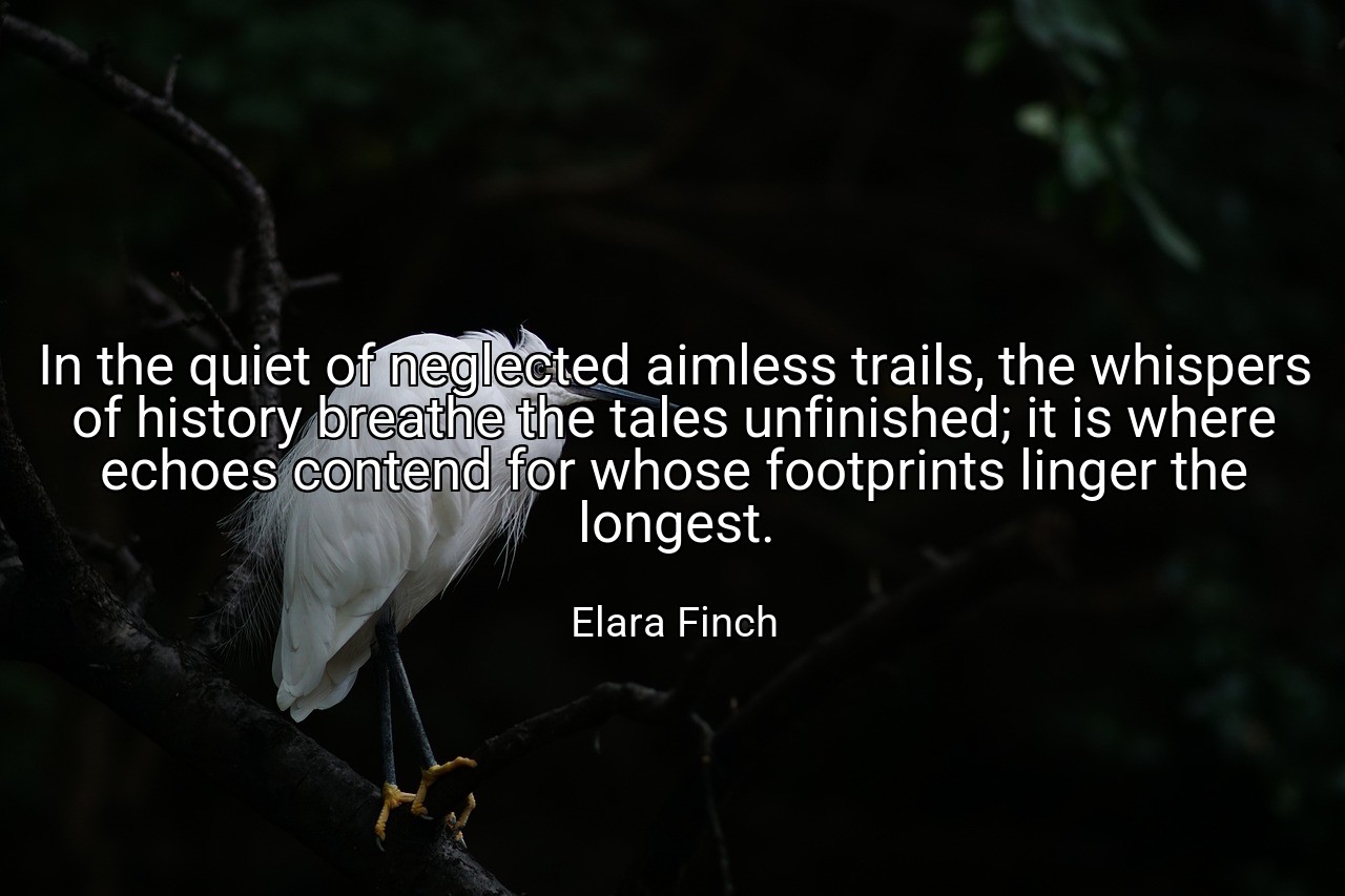 In the quiet of neglected aimless trails, the whispers of history breathe the tales unfinished; it is where echoes contend for whose footprints linger the longest. - Elara Finch